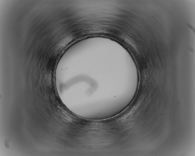 X0000094970777200712131454