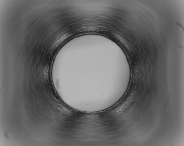 X0000094970778200712131454