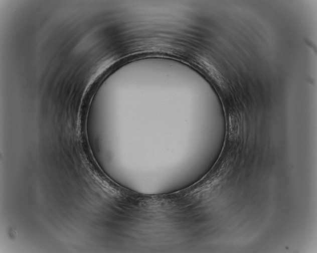 X0000094970780200712131454