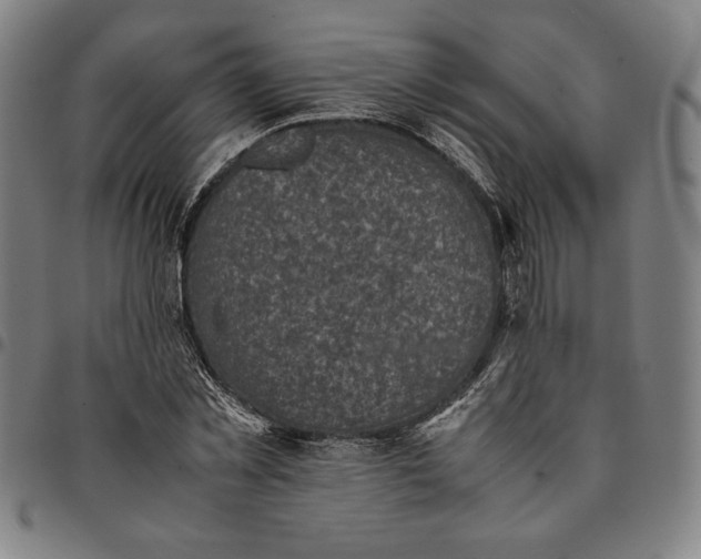 X0000094970781200712131454