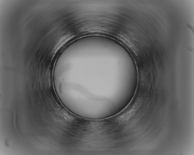 X0000094970782200712131454