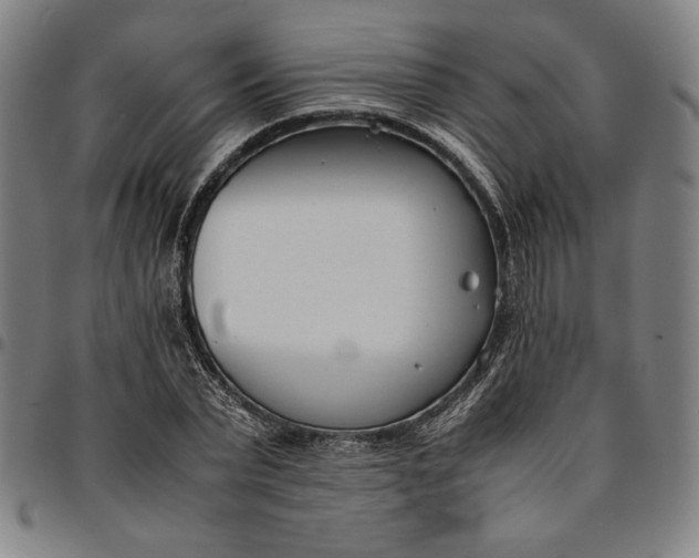 X0000094970783200712131454