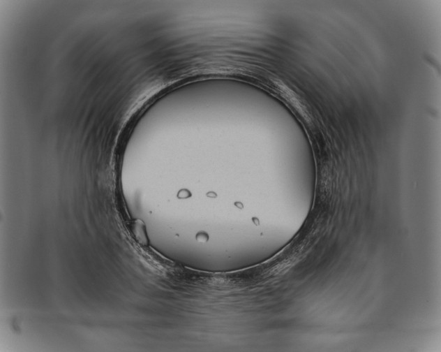 X0000094970787200712131454