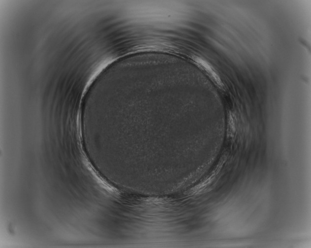 X0000094970796200712131454