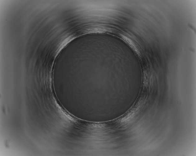 X0000094970802200712131454