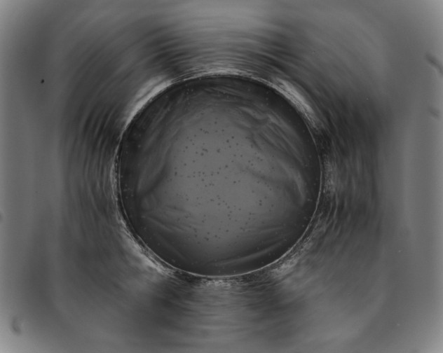 X0000094970806200712131454