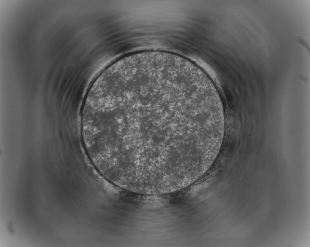 X0000094970807200712131453