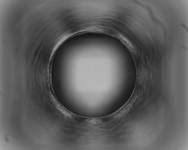 X0000094970808200712131453