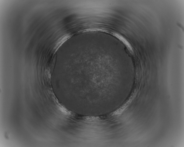 X0000094970809200712131453