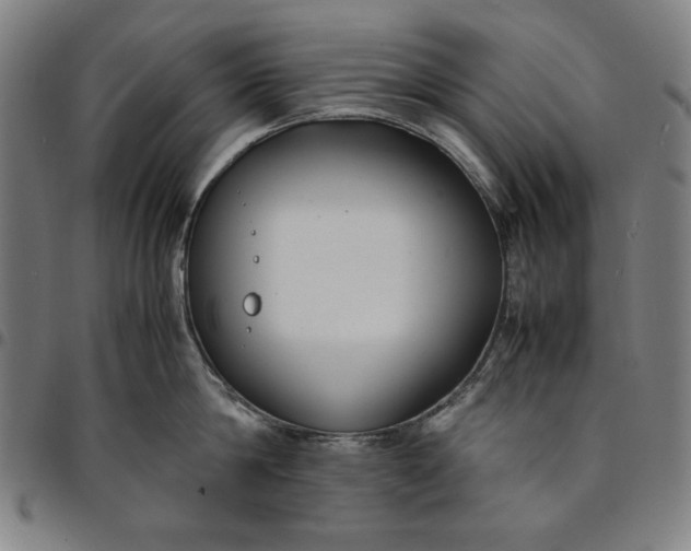 X0000094970814200712131453