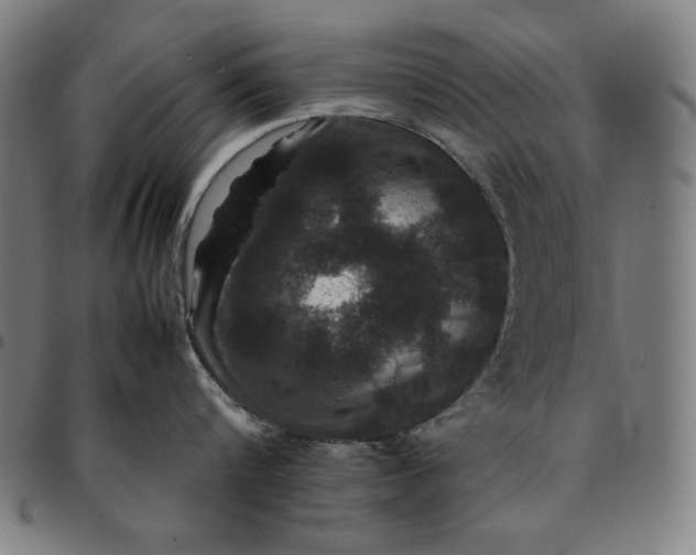 X0000094970816200712131453