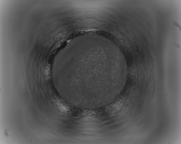 X0000094970818200712131453