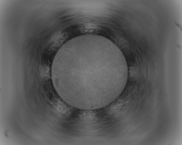 X0000094970820200712131453