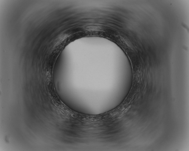 X0000094970821200712131453