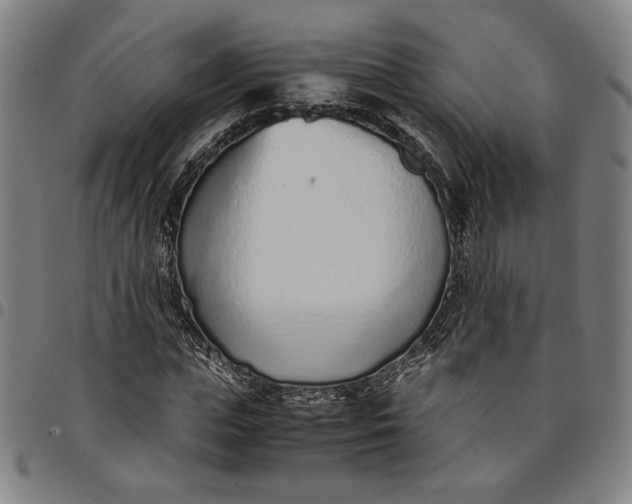 X0000094970823200712131453