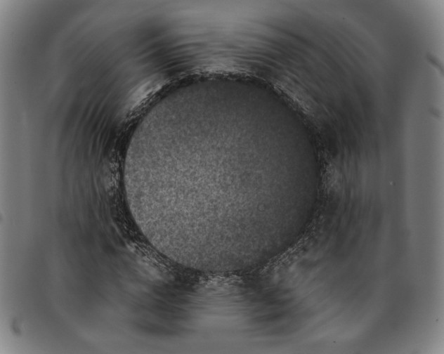 X0000094970824200712131453