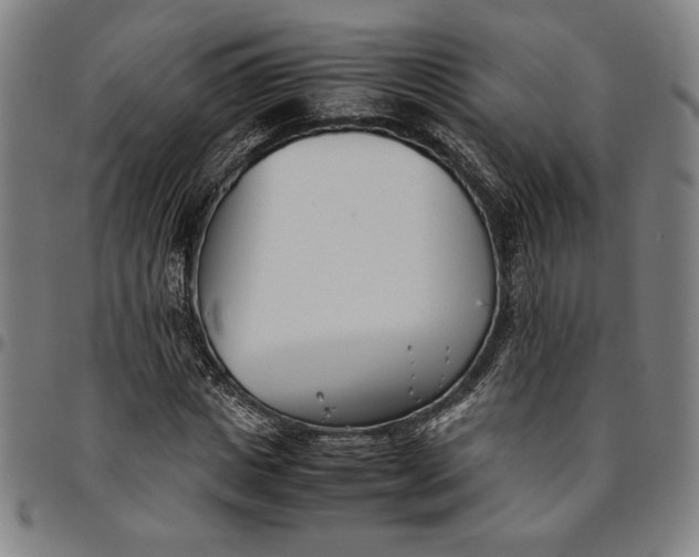 X0000094970825200712131453