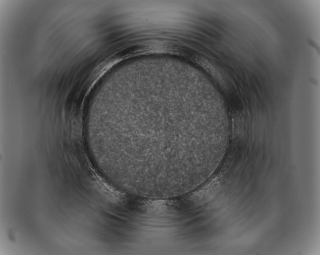 X0000094970828200712131453