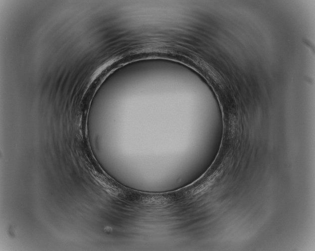 X0000094970830200712131453