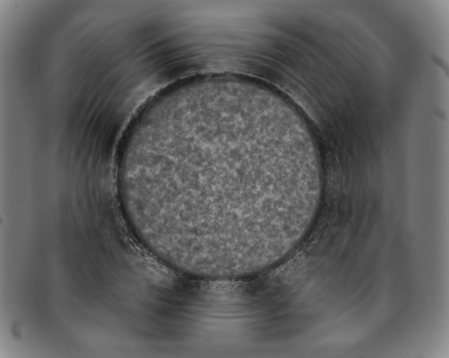 X0000094970832200712131453