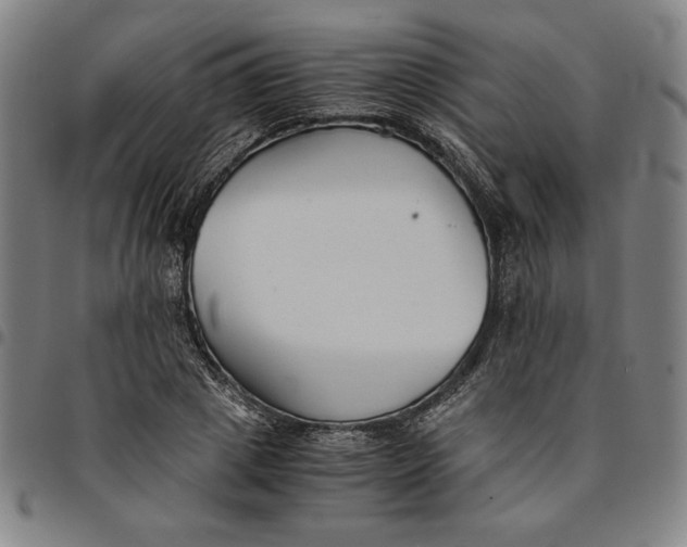 X0000094970833200712131453