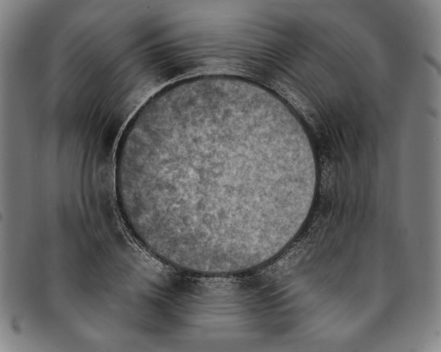 X0000094970836200712131453