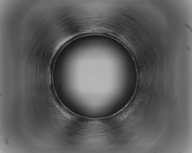 X0000094970838200712131453