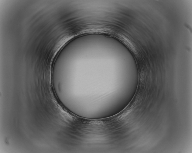 X0000094970844200712131453