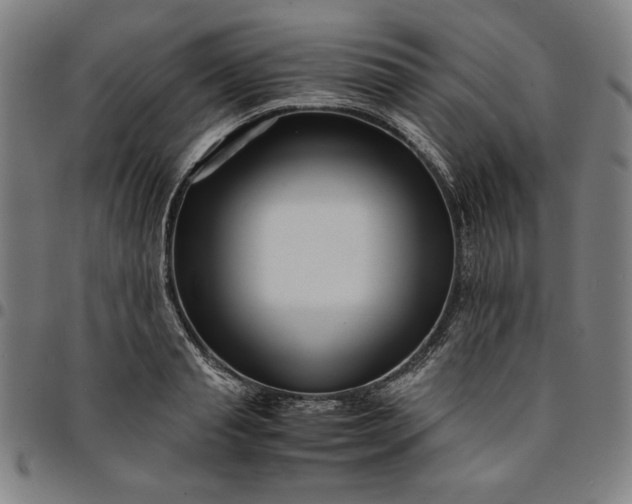 X0000094970845200712131453