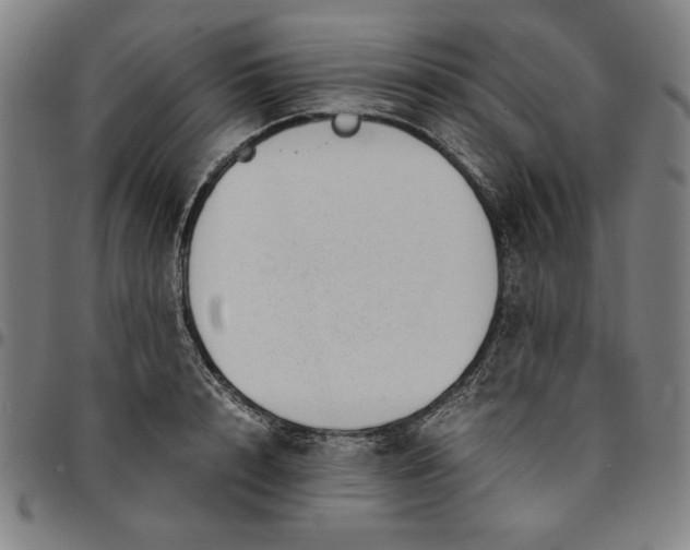 X0000094970848200712131453