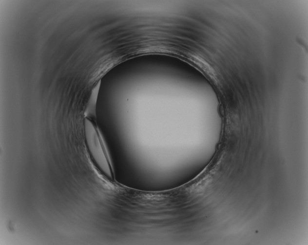 X0000094970849200712131453