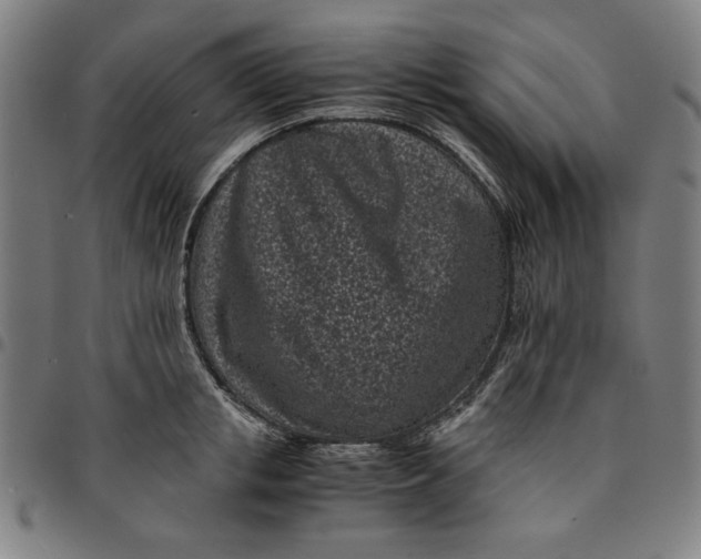 X0000094970853200712131453