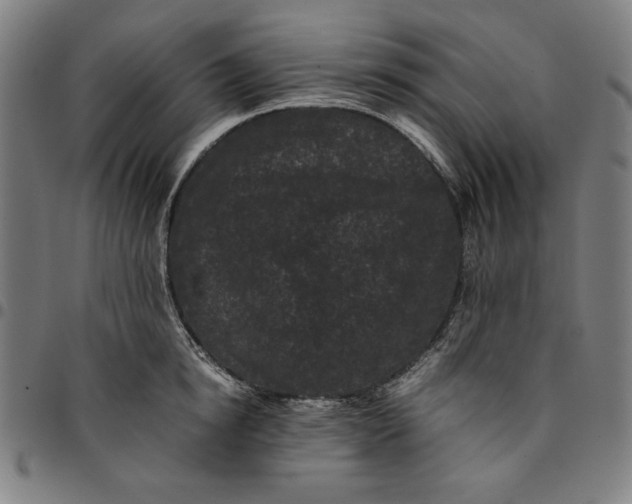 X0000094970854200712131453