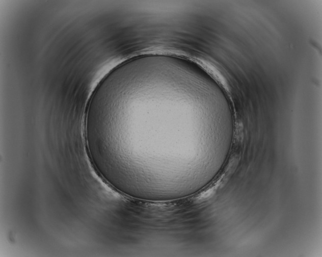 X0000094970855200712131453