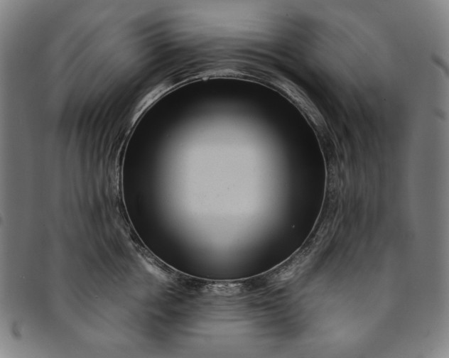 X0000094970858200712131453