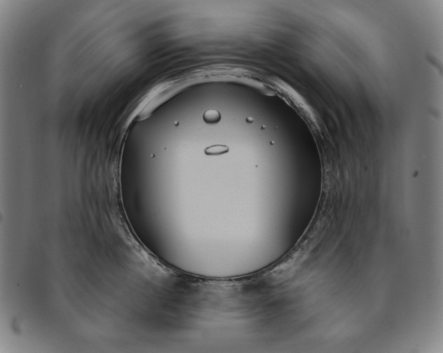 X0000094970860200712131453