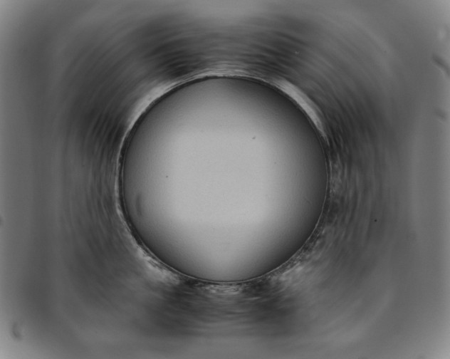 X0000094970861200712131453