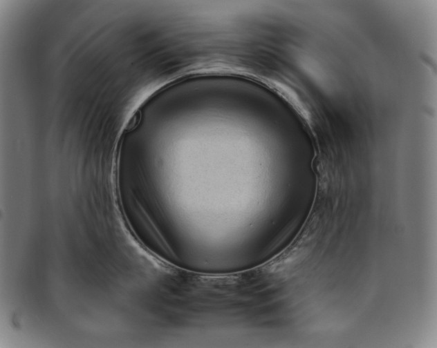 X0000094970863200712131453