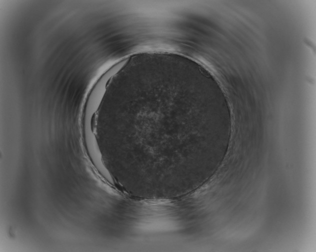 X0000094970864200712131453