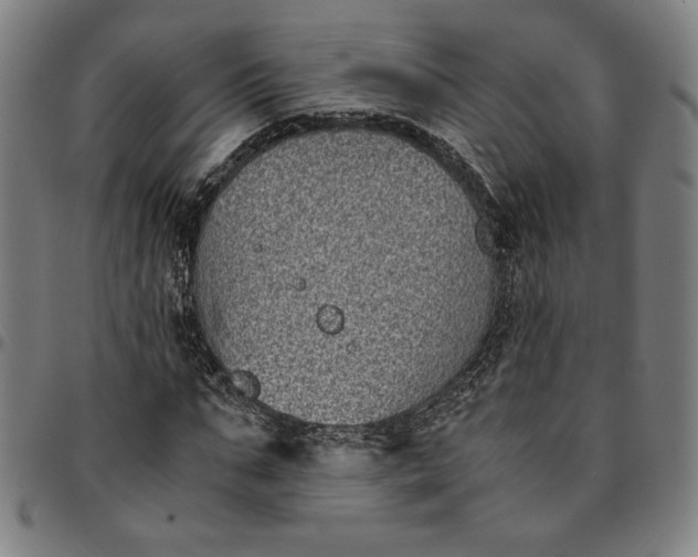 X0000094970871200712131452