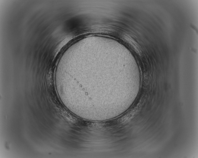 X0000094970875200712131452