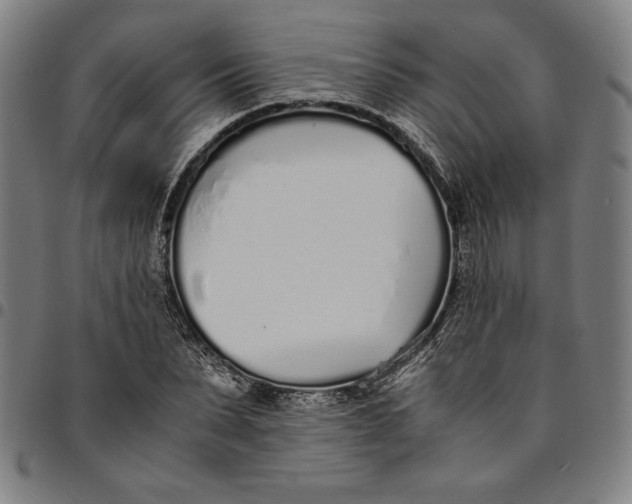 X0000094970879200712131452