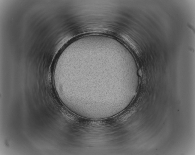 X0000094970883200712131452