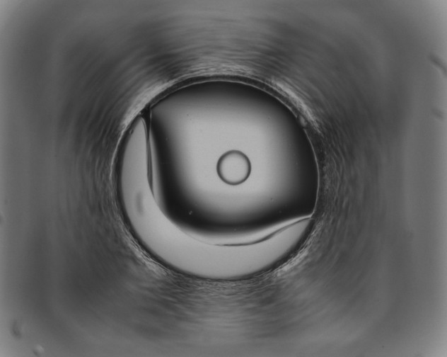 X0000094970885200712131452