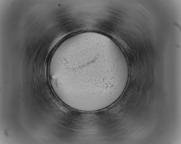 X0000094970886200712131452