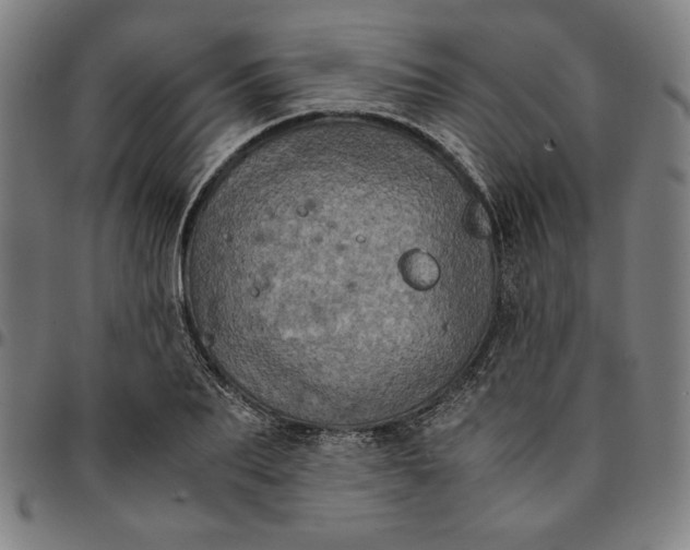 X0000094970887200712131452