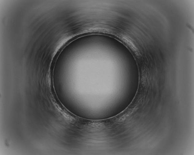 X0000094970888200712131452