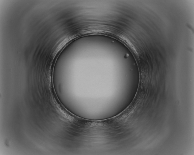 X0000094970890200712131452