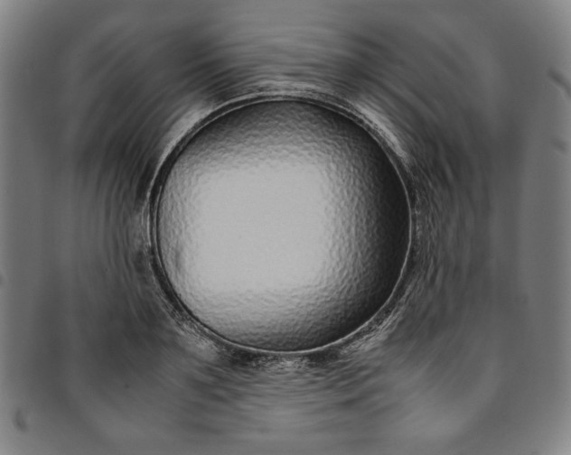 X0000094970891200712131452