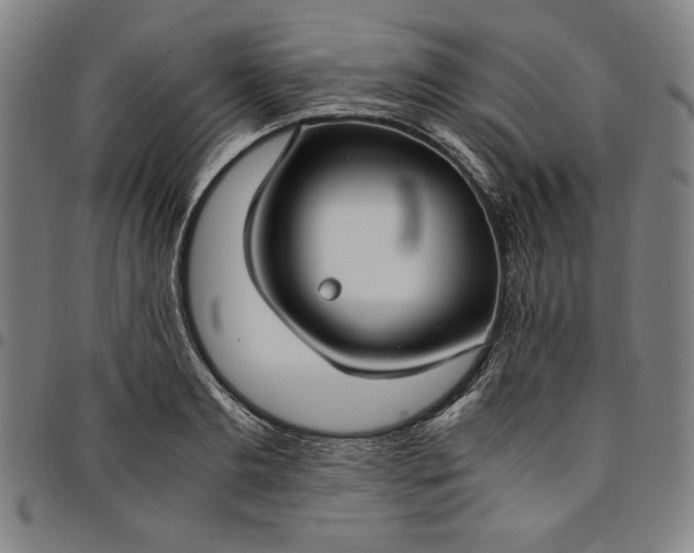 X0000094970893200712131452